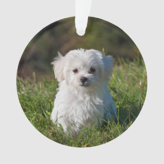 Gestalten Sie ein Akryllisches Weihnachtsgeschenk Ornament