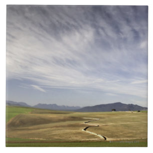 Gestalten Sie mit Weizenfeldern, Grabouw, Western Fliese