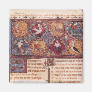 Gestaltet um, von Ovid moralisieren Sie Magnet