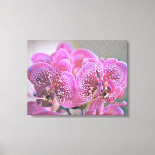 Gestaltete Glasorchideen gezackte Canvas Leinwanddruck