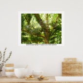 'Gestaltete Glasscheiben' Poster (Küche)