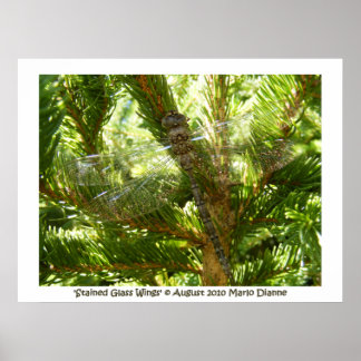 'Gestaltete Glasscheiben' Poster