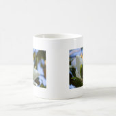 Gestaltetes Glas Sky Süd Magnolia Geschenke Appare Kaffeetasse (Mittel)
