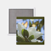 Gestaltetes Glas Sky Süd Magnolia Geschenke Appare Magnet (Vorderseite/Rückseite)