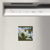 Gestaltetes Glas Sky Süd Magnolia Geschenke Appare Magnet (In Situ (Geschirrspüler))