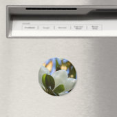 Gestaltetes Glas Sky Süd Magnolia Geschenke Appare Magnet (In Situ (Geschirrspüler))