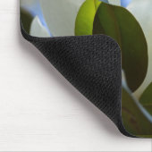 Gestaltetes Glas Sky Süd Magnolia Geschenke Appare Mousepad (Ecke)