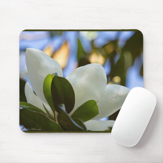 Gestaltetes Glas Sky Süd Magnolia Geschenke Appare Mousepad (Mit Mouse)