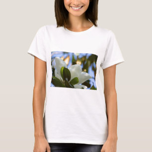 Gestaltetes Glas Sky Süd Magnolia Geschenke Appare T-Shirt