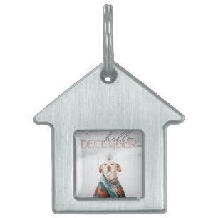 Gestaltetes Haustierhalsband Tiermarke