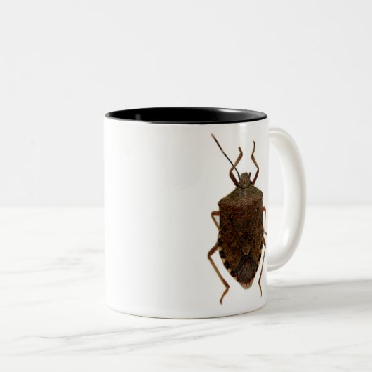 Gestank-Wanze Zweifarbige Tasse (VorderseiteRechts)