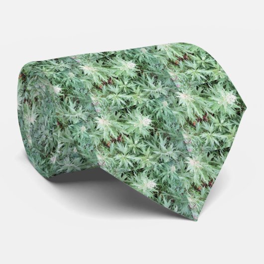 Gestankunkraut Krawatte (Gerollt)