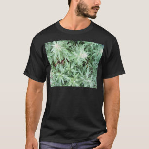 Gestankunkraut T-Shirt