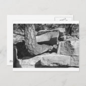 Gesteinsbaum Postkarte (Vorne/Hinten)