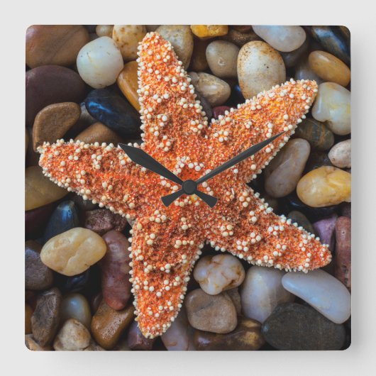 Gesteinsfisch Quadratische Wanduhr (Vorderseite)