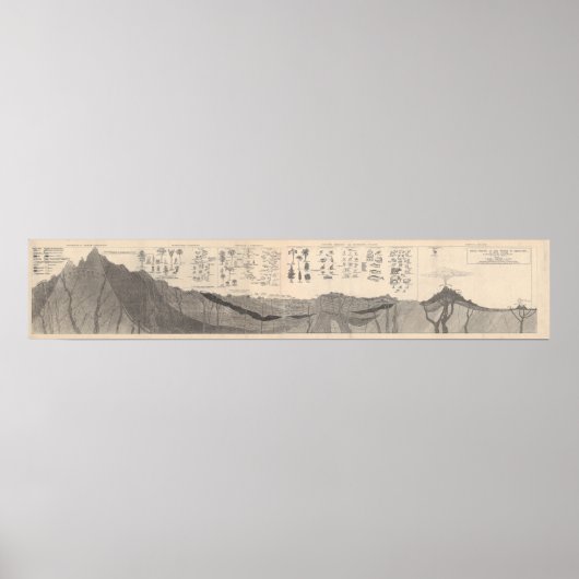 Gesteinsprofil in der Erdgeschichte Poster (Vorne)