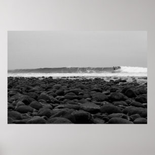 GESTELLE, STAATS-STRAND SAN ONOFRE, CA, USA POSTER