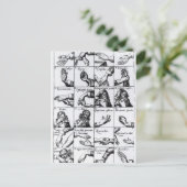 Gesten für die Nachahmung von John Bulwers 'Chrilo Postkarte (Stehend Vorderseite)