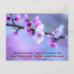 Gestern ist Geschichte. Morgen ist ein Rätsel. und Postkarte