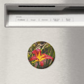 Gestern Lily nach dem Regen Magnet (In Situ (Geschirrspüler))
