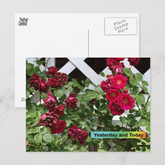 Gestern und heute postkarte (Vorne/Hinten)