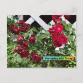 Gestern und heute postkarte (Vorderseite)