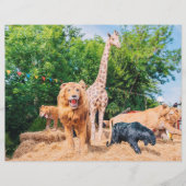 Gestopfte Tiere Flyer (Vorne)