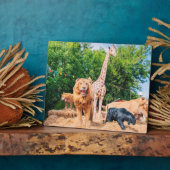 Gestopfte Tiere Fotoplatte (Seite)