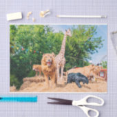 Gestopfte Tiere Seidenpapier (Handwerk)