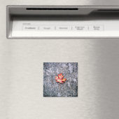 gestorben magnet (In Situ (Geschirrspüler))