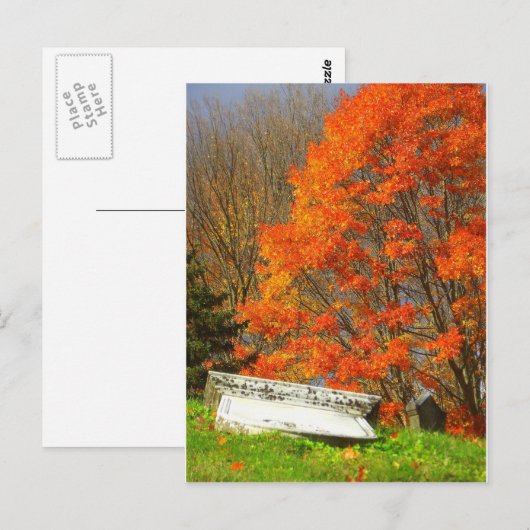 gestorben postkarte (Vorne/Hinten)