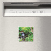 Gestorener Felspark, Illinois Magnet (In Situ (Geschirrspüler))