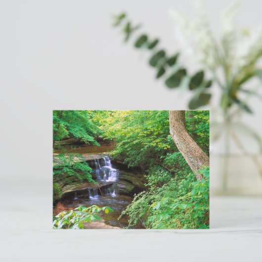 Gestorener Felspark, Illinois Postkarte (Stehend Vorderseite)