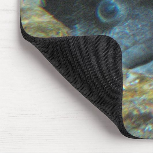 Gestörte Fische Mousepad (Ecke)