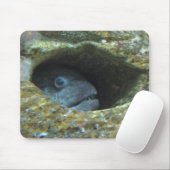 Gestörte Fische Mousepad (Mit Mouse)