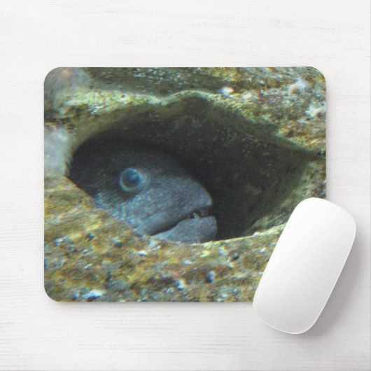 Gestörte Fische Mousepad (Mit Mouse)