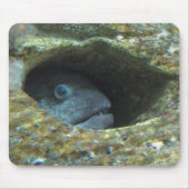 Gestörte Fische Mousepad (Vorne)