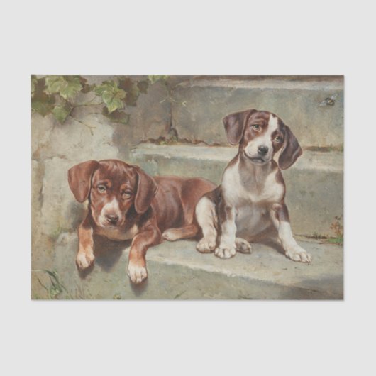 Gestorte Siesta von Carl Reichert Seidenpapier (Vorderseite)