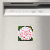 Gestreifte Candy-Cane-Kamelie Magnet (In Situ (Geschirrspüler))