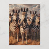 Gestreifte Majestät: Zebra Herd in trockenem Gras Postkarte (Vorderseite)
