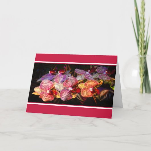Gestreifte Orchidee Karte (Vorderseite)