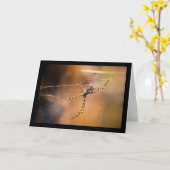 Gestreifte Radnetzspinne Karte (Gelbe Blume)