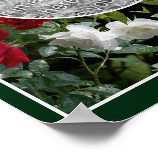 Gestreifte Rose Rahmen erstellen Ihr eigenes Foto Poster (Ecke)