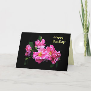 Gestreifte Rosen zum Geburtstag Karte