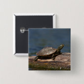 Gestreifte Schildkröte Button (Vorne & Hinten)