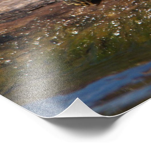 Gestreifte Schildkröte Fotodruck (Ecke)