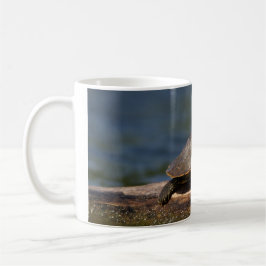Gestreifte Schildkröte Kaffeetasse