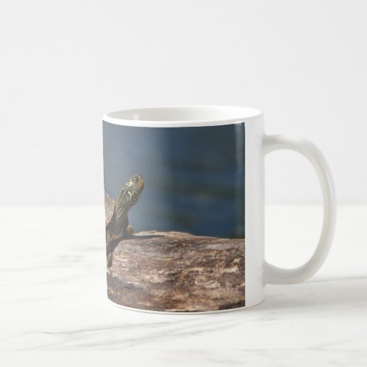 Gestreifte Schildkröte Kaffeetasse (Rechts)