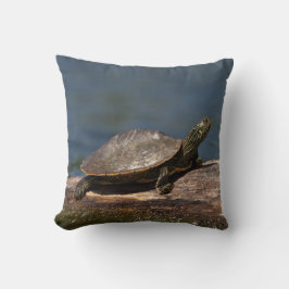 Gestreifte Schildkröte Kissen