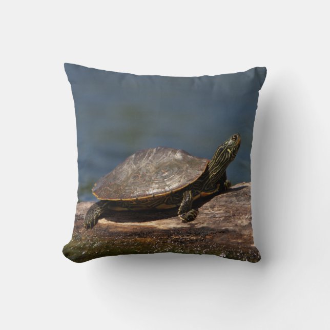Gestreifte Schildkröte Kissen (Vorderseite)